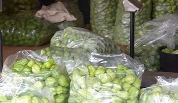 Mengintip Bisnis Waluh Lejet Petani Milenial Sumedang: Tembus Pasar Jabodetabek, Pasok 10 Ton Sehari