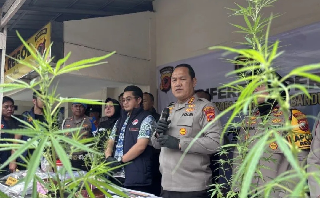 Kapolrestabes Bandung Kombes Pol Dedi Supriyadi saat mengungkap kasus budidaya ganja di Kota Bandung, Jumat (9/10/2026).