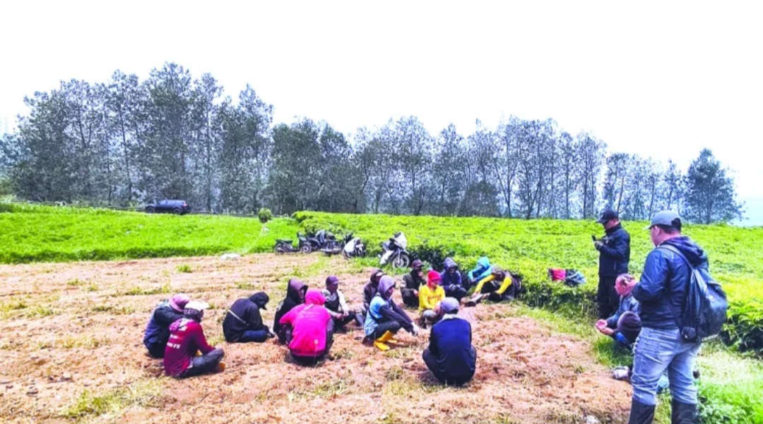 Konflik di Balik Hijau Pangalengan: Teh Dirusak, Alih Fungsi Lahan Mengancam ​